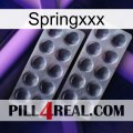 Springxxx 31